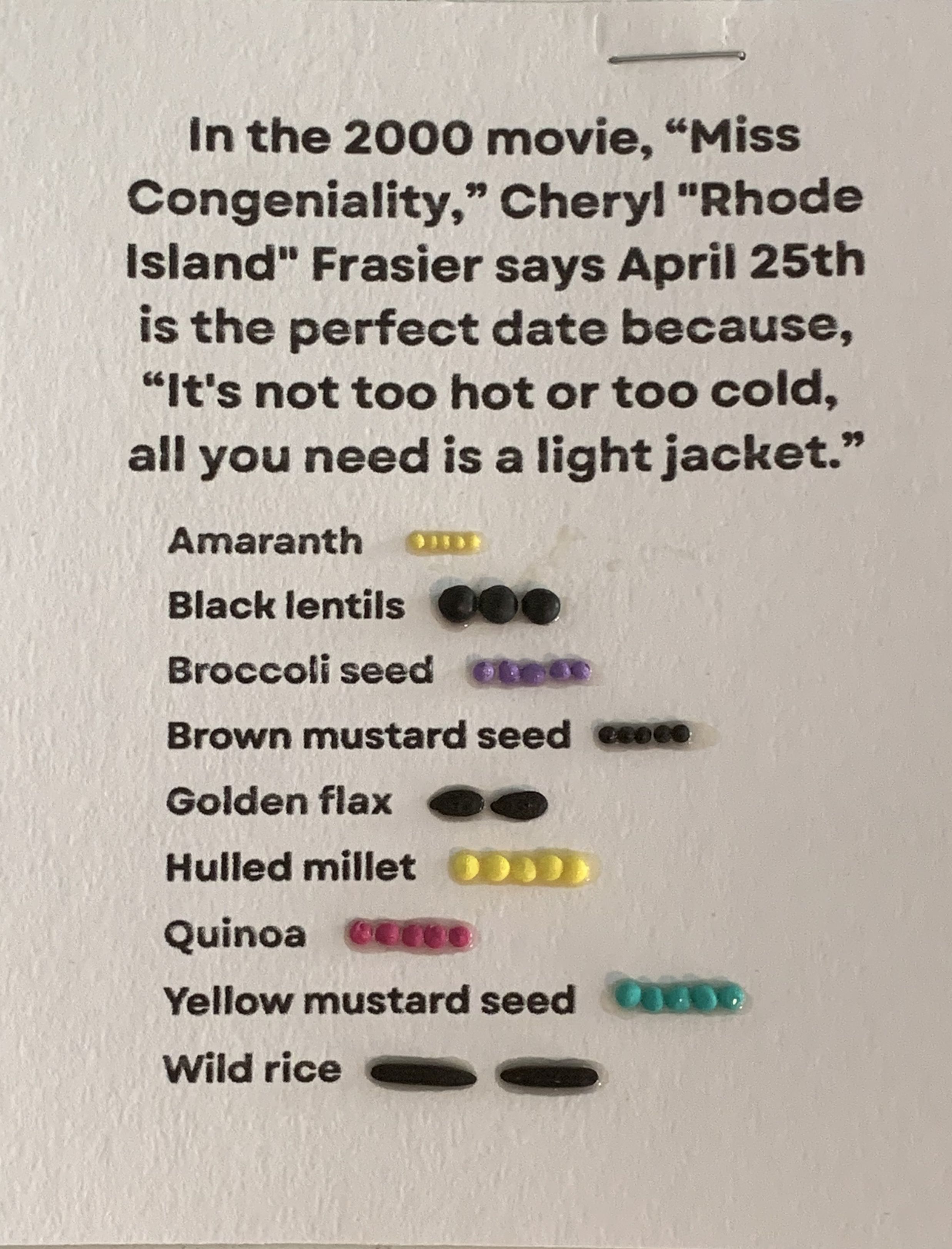 [Natalie Gansmoe Light Jacket Index image]